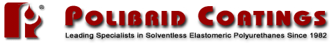 logo/Polibrid.png